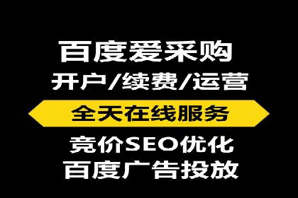 案例研究：百度竞价广告投放效果